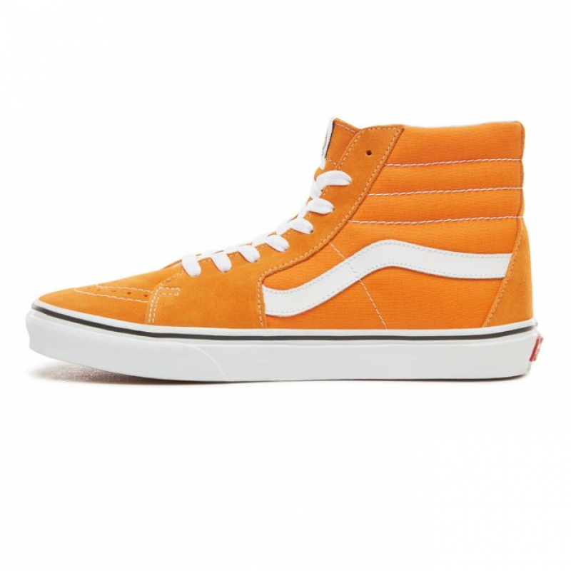 Vans Sk8 Hi BMX Checkerboard 